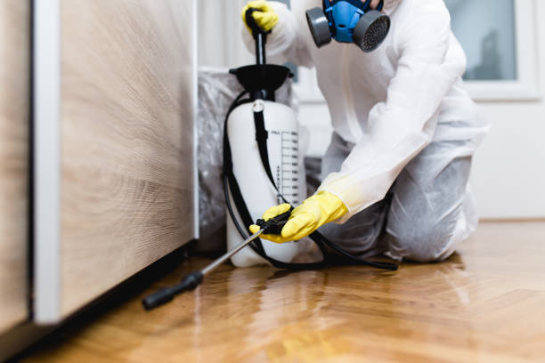 Best Flea Control Services  in Abram, TX