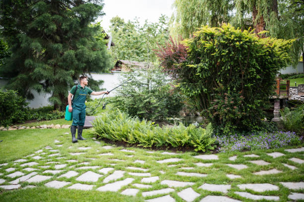 Best Pest Removal Services  in Abram, TX