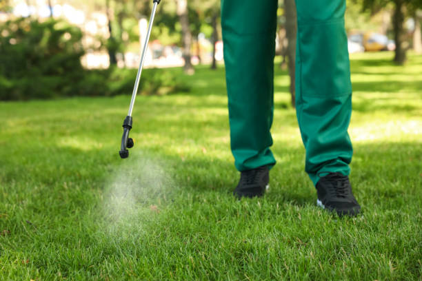 Best Mosquito Control Services  in Abram, TX