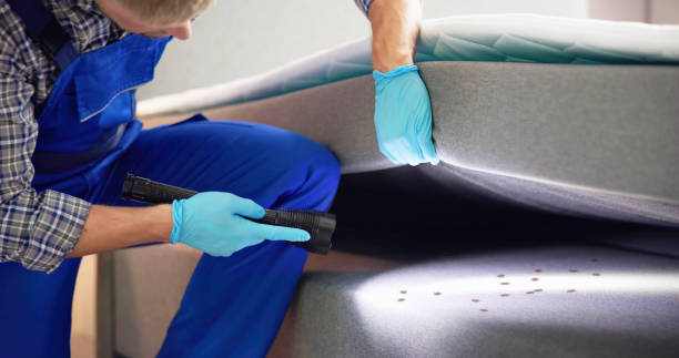 Best Bed Bug Extermination  in Abram, TX