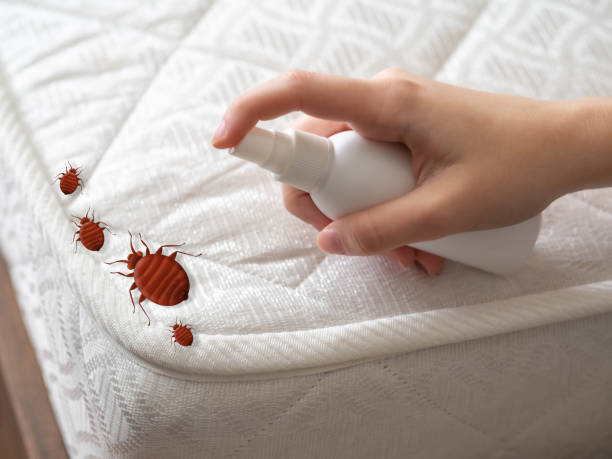 Professional Pest Control in Abram, TX
