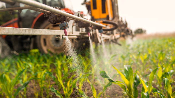 Best Wildlife Control Services  in Abram, TX